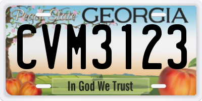 GA license plate CVM3123