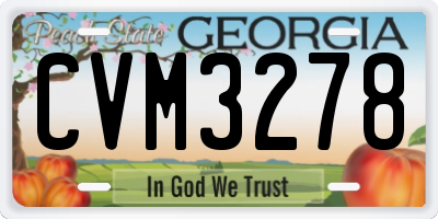 GA license plate CVM3278