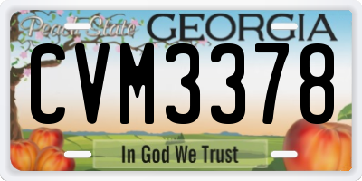 GA license plate CVM3378