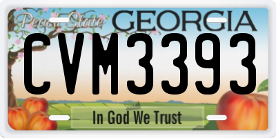 GA license plate CVM3393