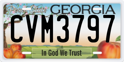 GA license plate CVM3797