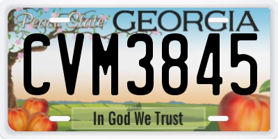 GA license plate CVM3845