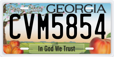 GA license plate CVM5854