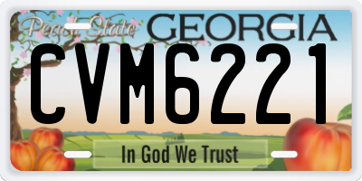 GA license plate CVM6221