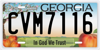 GA license plate CVM7116