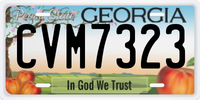 GA license plate CVM7323