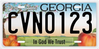 GA license plate CVN0123