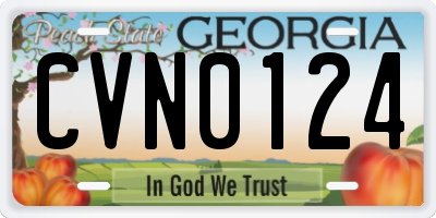 GA license plate CVN0124