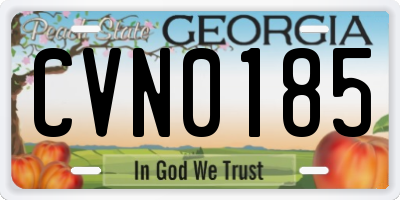 GA license plate CVN0185
