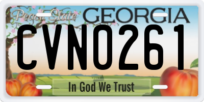 GA license plate CVN0261