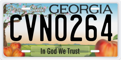 GA license plate CVN0264