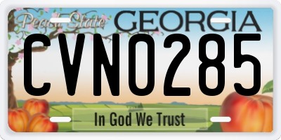 GA license plate CVN0285