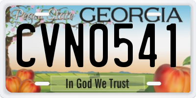 GA license plate CVN0541