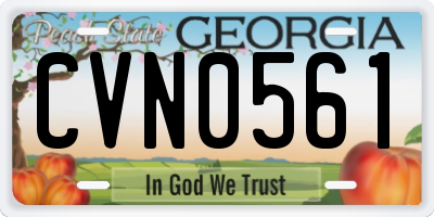 GA license plate CVN0561