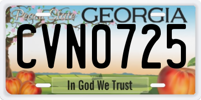 GA license plate CVN0725