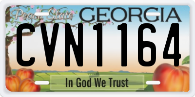 GA license plate CVN1164