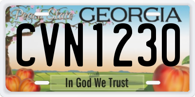 GA license plate CVN1230