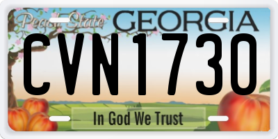 GA license plate CVN1730