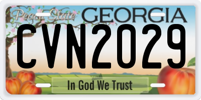 GA license plate CVN2029