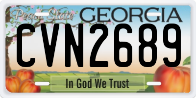 GA license plate CVN2689
