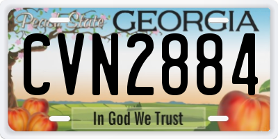 GA license plate CVN2884