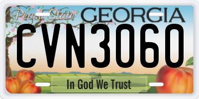 GA license plate CVN3060