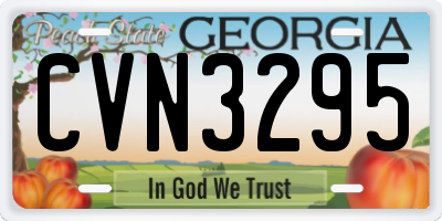 GA license plate CVN3295