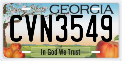 GA license plate CVN3549