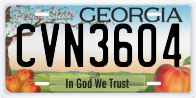 GA license plate CVN3604