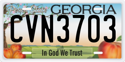 GA license plate CVN3703