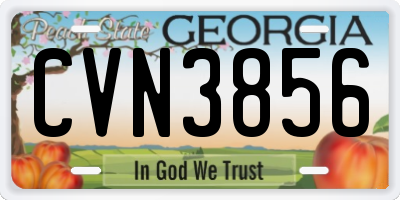 GA license plate CVN3856