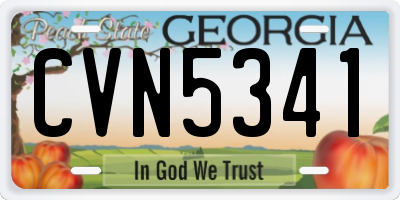 GA license plate CVN5341