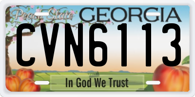 GA license plate CVN6113