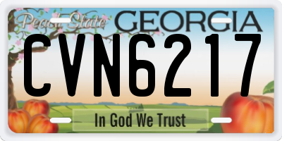 GA license plate CVN6217