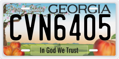 GA license plate CVN6405