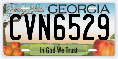 GA license plate CVN6529