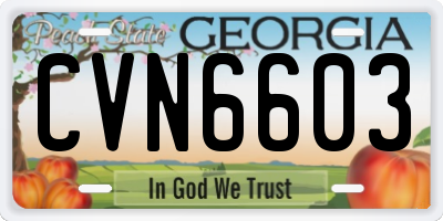 GA license plate CVN6603