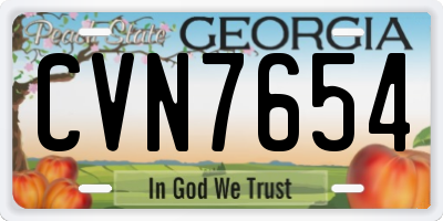 GA license plate CVN7654