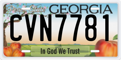 GA license plate CVN7781