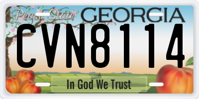 GA license plate CVN8114