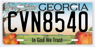 GA license plate CVN8540