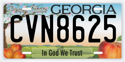 GA license plate CVN8625