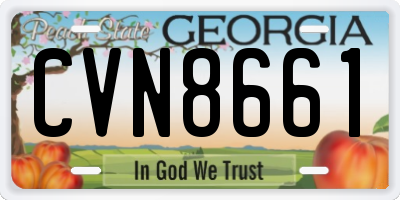 GA license plate CVN8661