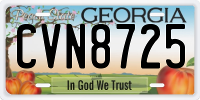 GA license plate CVN8725