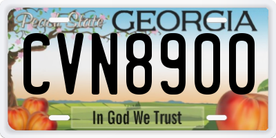 GA license plate CVN8900
