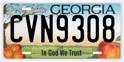 GA license plate CVN9308