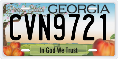 GA license plate CVN9721