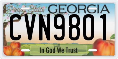 GA license plate CVN9801
