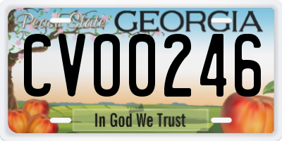 GA license plate CVO0246