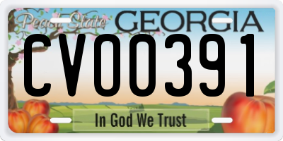 GA license plate CVO0391